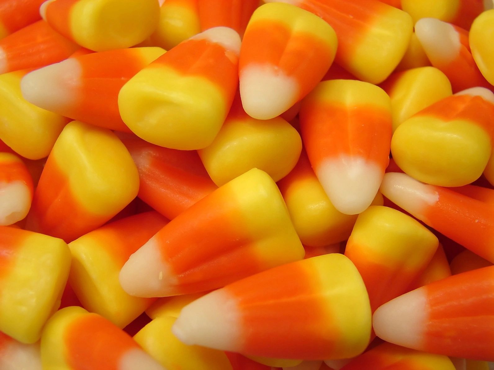 Don’t Eat the Halloween Candy!
